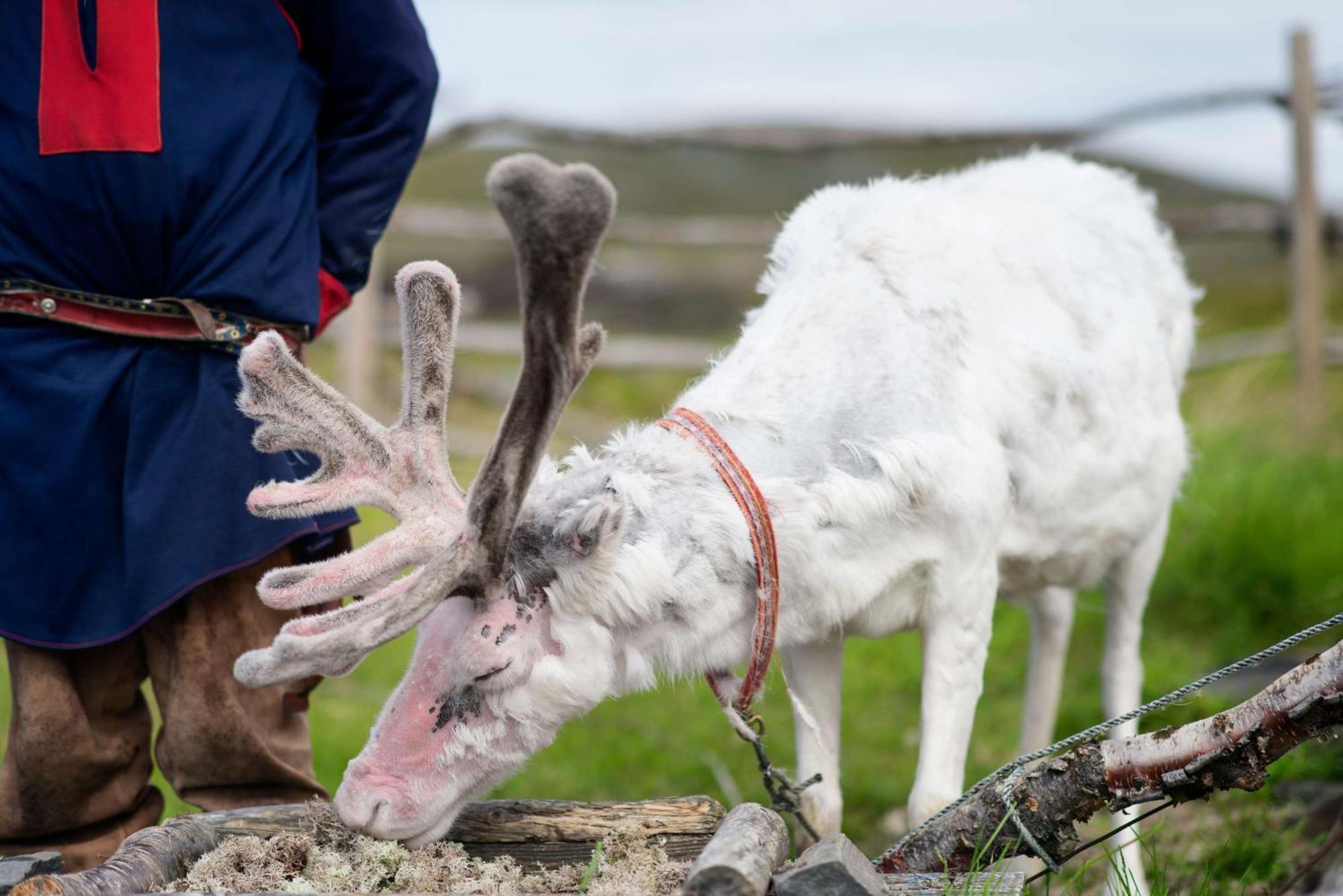 Scandic Nordkapp Honningsvåg Екстериор снимка
